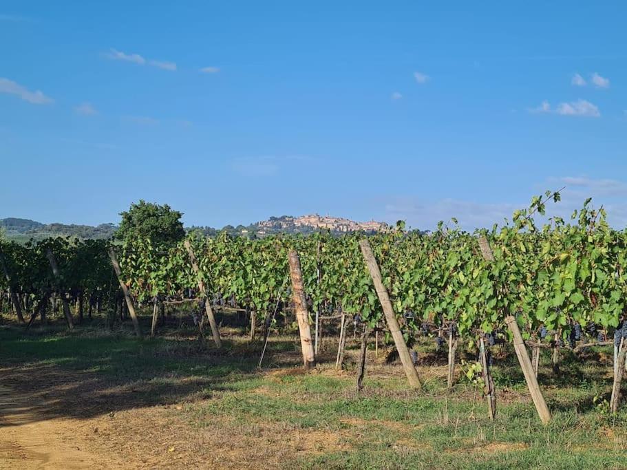 Montepulciano - La Casetta Del Pian Delle Noci Acquaviva  Exterior photo