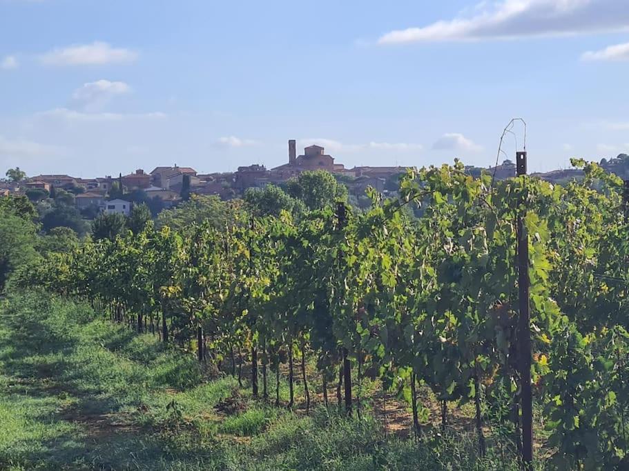 Montepulciano - La Casetta Del Pian Delle Noci Acquaviva  Exterior photo