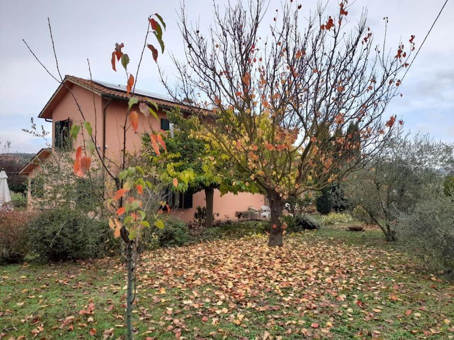 Montepulciano - La Casetta Del Pian Delle Noci Acquaviva  Exterior photo